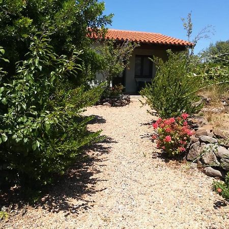 Agriturismo Su Birde Orosei Exterior foto
