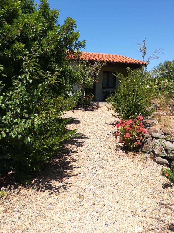 Agriturismo Su Birde Orosei Exterior foto