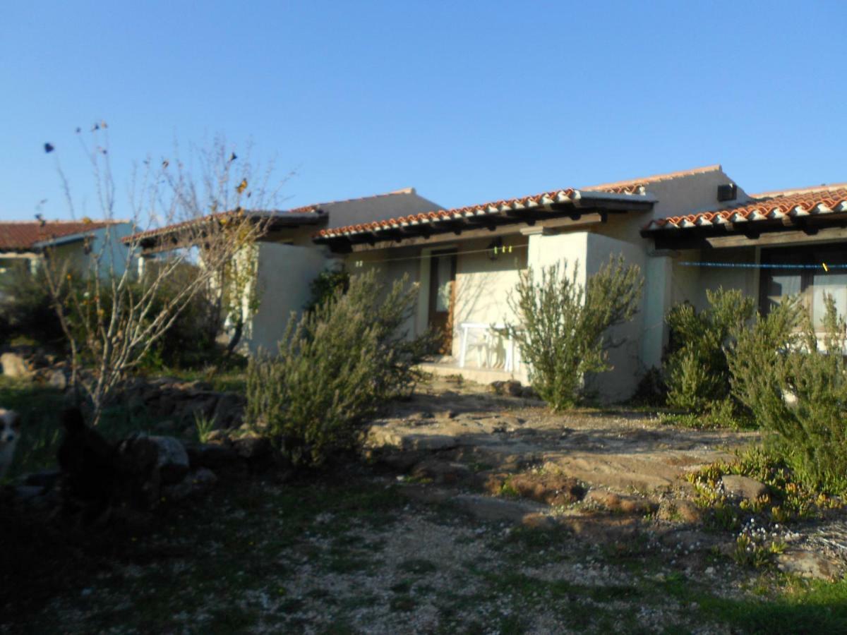 Agriturismo Su Birde Orosei Exterior foto